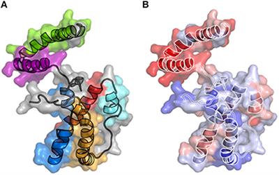 IL-26, a Cytokine With Roles in Extracellular DNA-Induced Inflammation and Microbial Defense